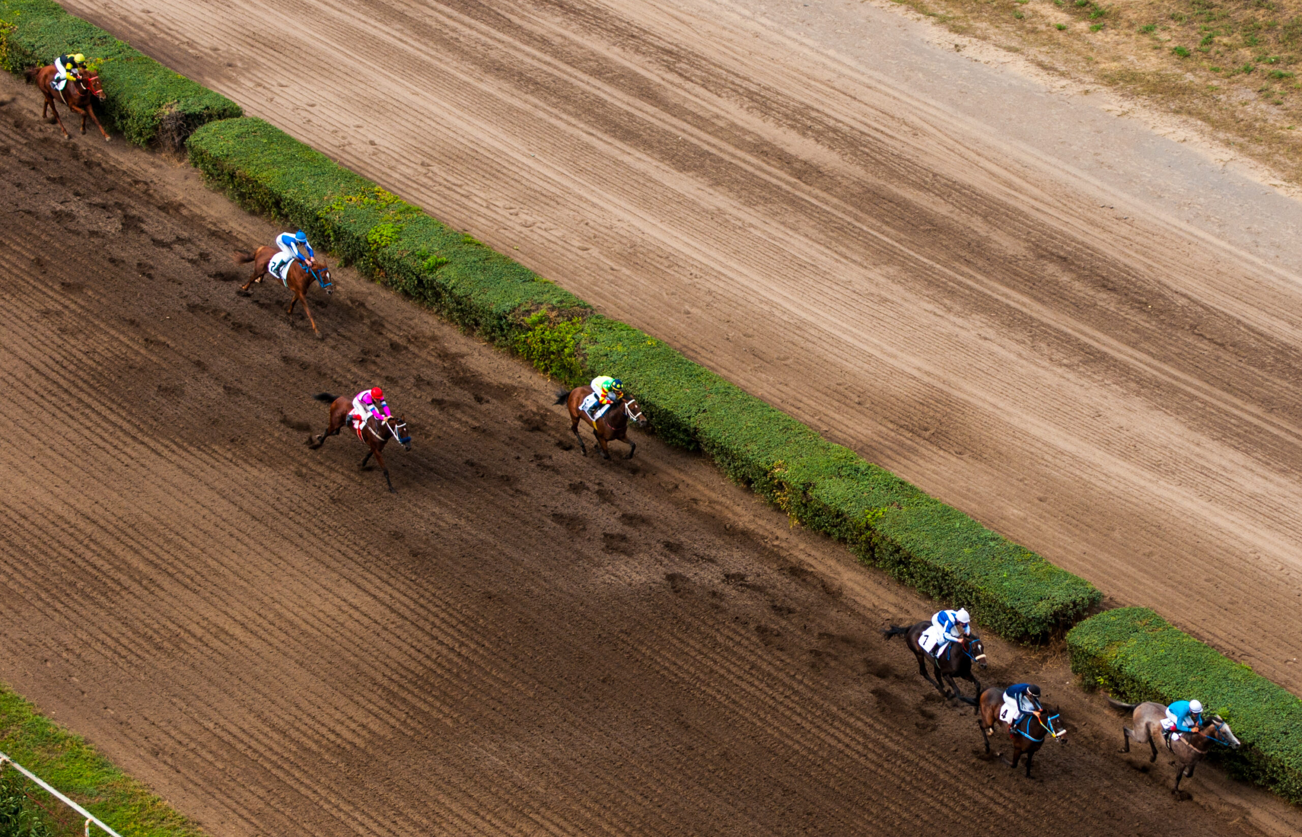 Horse racing track at Ascot