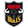 Bradford crest