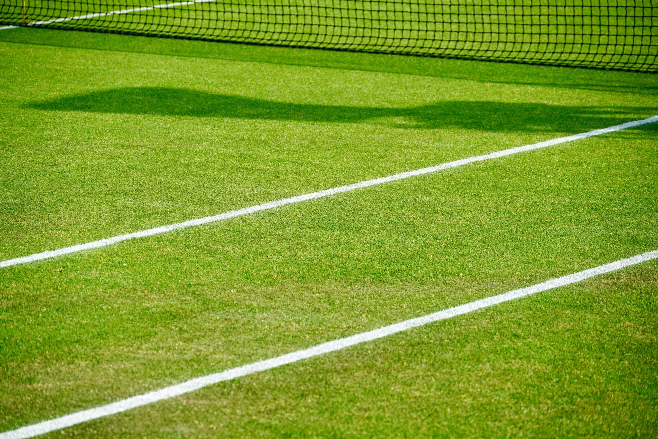 An image of a green grass tennis court